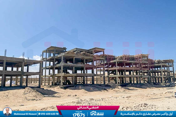 WhatsApp Image 2024-03-07 at 8.45.18 PM