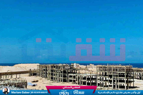 WhatsApp Image 2024-03-07 at 8.45.19 PM (1)