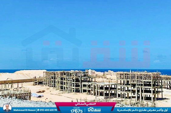 WhatsApp Image 2024-03-07 at 8.45.19 PM (1)