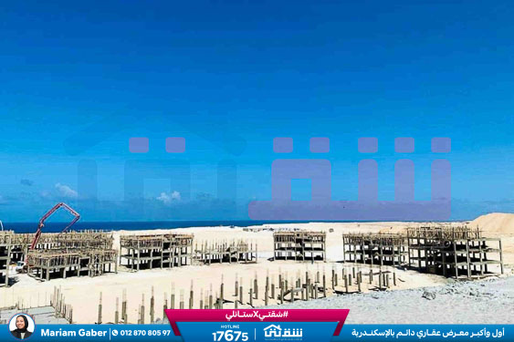 WhatsApp Image 2024-03-07 at 8.45.19 PM