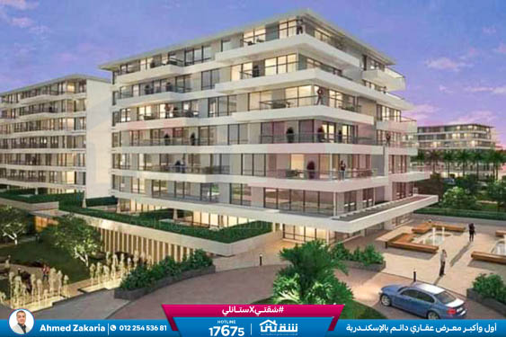 WhatsApp Image 2024-05-20 at 4.25.39 PM (1)