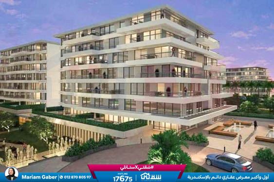 WhatsApp Image 2024-05-20 at 4.25.39 PM (1)