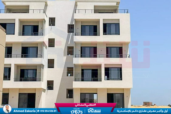 WhatsApp Image 2024-05-20 at 4.25.40 PM