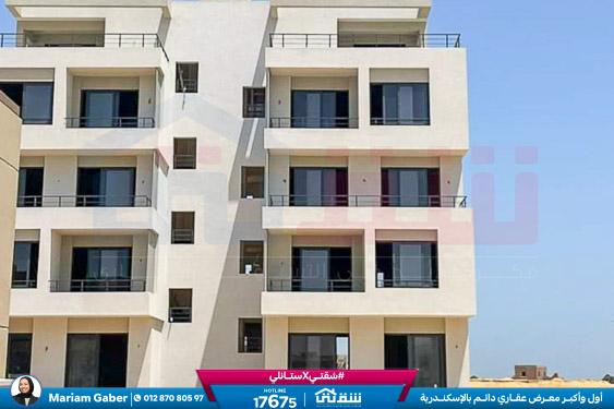 WhatsApp Image 2024-05-20 at 4.25.40 PM