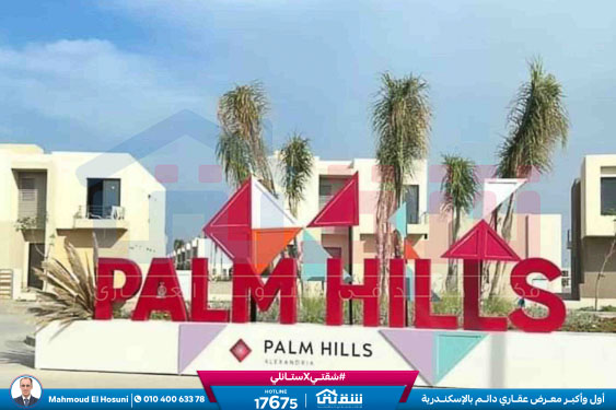 WhatsApp Image 2024-05-20 at 4.27.06 PM (1)