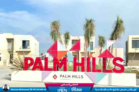 WhatsApp Image 2024-05-20 at 4.27.06 PM (1)