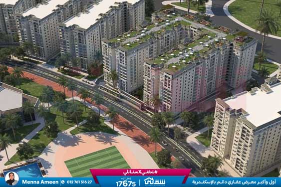 WhatsApp Image 2024-07-01 at 6.48.10 AM (1)