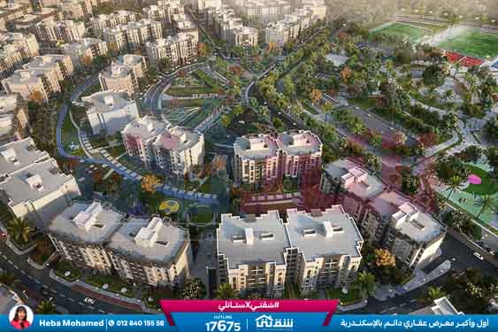 WhatsApp Image 2024-08-12 at 9.46.13 AM