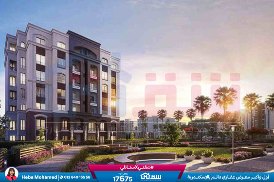 WhatsApp Image 2024-08-12 at 9.46.15 AM