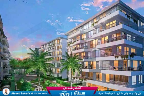 WhatsApp Image 2024-08-28 at 4.29.03 PM