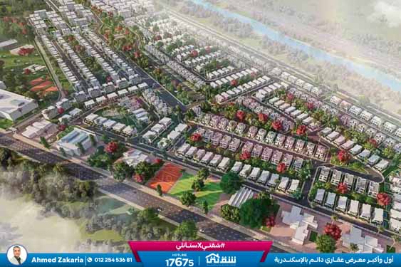 WhatsApp Image 2024-08-28 at 4.29.03 PM (2)