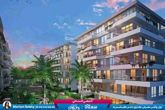 WhatsApp Image 2024-08-28 at 4.29.03 PM