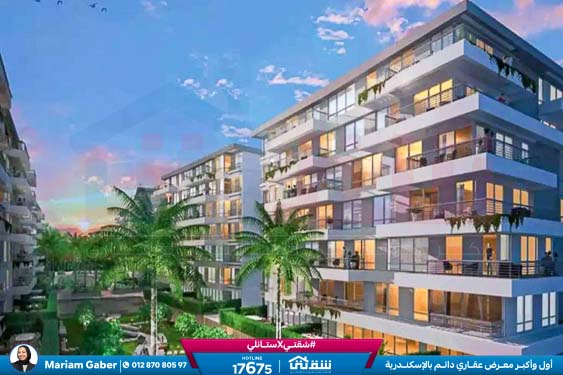 WhatsApp Image 2024-08-28 at 4.29.03 PM