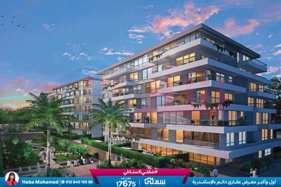 WhatsApp Image 2024-09-04 at 4.45.15 PM