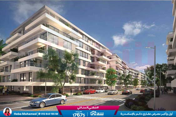 WhatsApp Image 2024-09-04 at 4.45.19 PM (1)-2