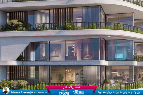 WhatsApp Image 2024-09-19 at 13.17.54_9d8ae3e2