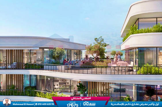 WhatsApp Image 2024-11-01 at 5.18.25 PM (1)