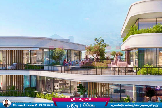 WhatsApp Image 2024-11-01 at 5.18.25 PM (1)