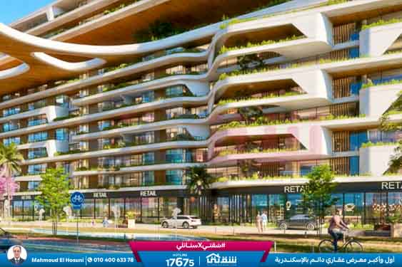 WhatsApp Image 2024-11-01 at 5.18.25 PM