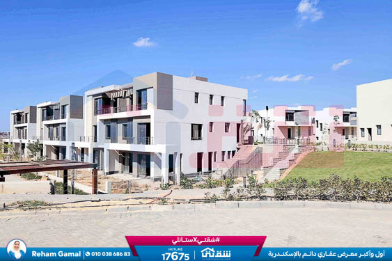 WhatsApp Image 2024-11-27 at 1.14.00 PM (1)