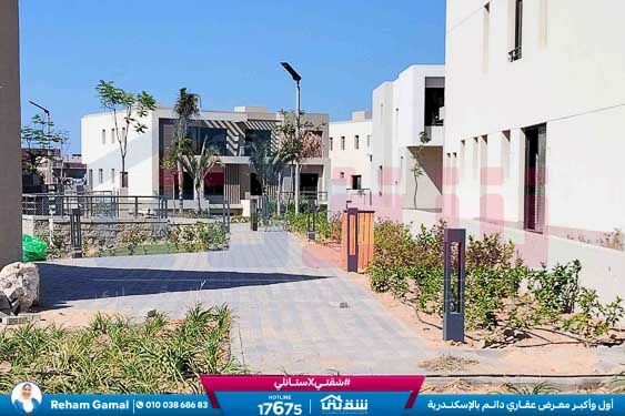 WhatsApp Image 2024-11-27 at 1.14.01 PM (1)