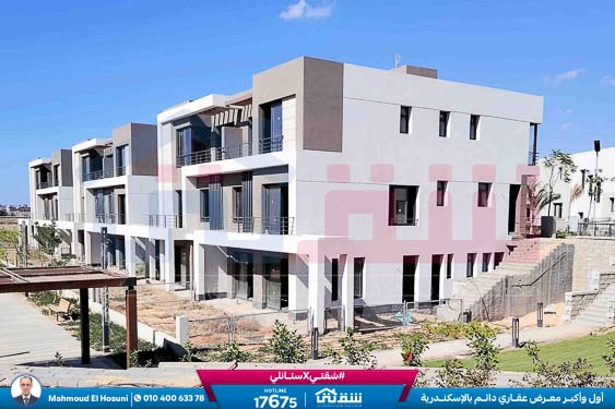 WhatsApp Image 2024-11-27 at 1.14.01 PM