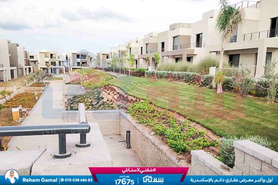 WhatsApp Image 2024-11-27 at 1.14.01 PM (3)