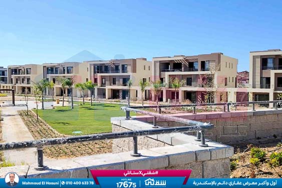 WhatsApp Image 2024-11-27 at 1.14.02 PM (1)