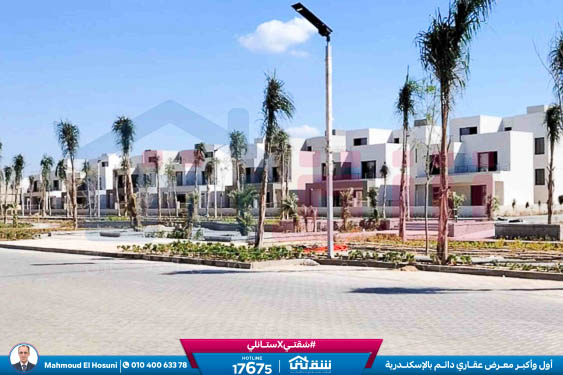 WhatsApp Image 2024-11-27 at 1.14.02 PM