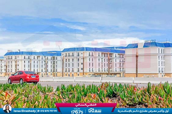 WhatsApp Image 2024-12-05 at 10.05.08 AM (2)