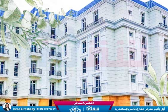 WhatsApp Image 2024-12-05 at 10.05.08 AM