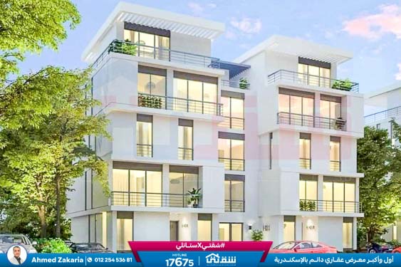 WhatsApp Image 2024-12-06 at 3.41.31 AM (1)