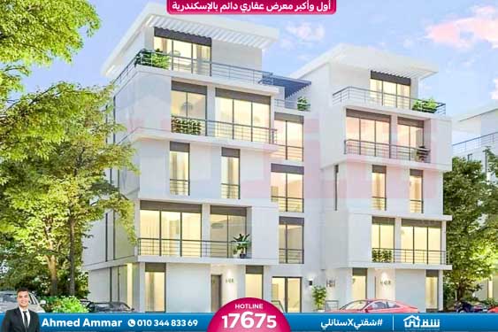 WhatsApp Image 2024-12-06 at 3.41.31 AM (1)