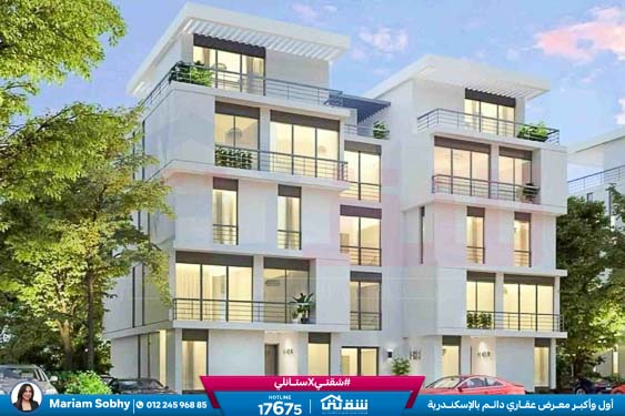 WhatsApp Image 2024-12-06 at 3.41.31 AM (1)