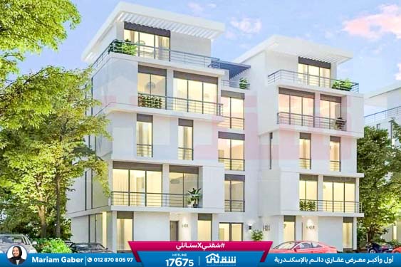 WhatsApp Image 2024-12-06 at 3.41.31 AM (1)