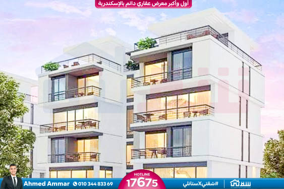 WhatsApp Image 2024-12-06 at 3.41.31 AM