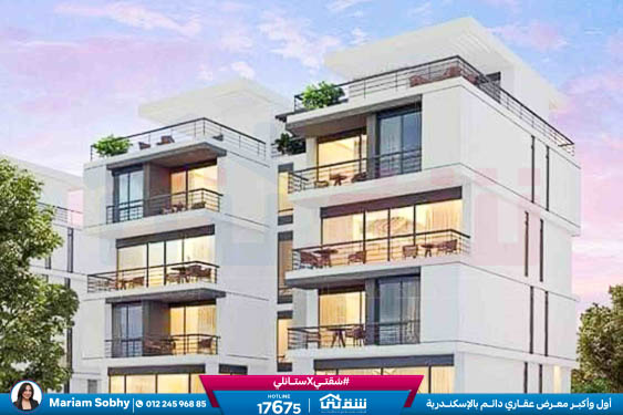 WhatsApp Image 2024-12-06 at 3.41.31 AM