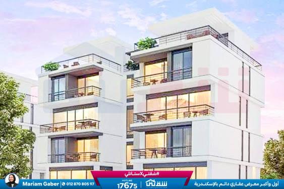 WhatsApp Image 2024-12-06 at 3.41.31 AM