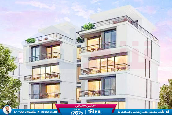 WhatsApp Image 2024-12-06 at 3.41.31 AM