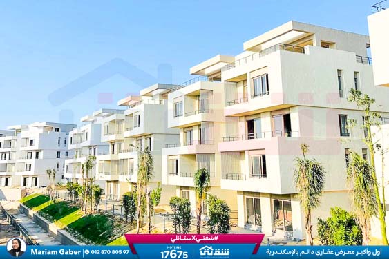 WhatsApp Image 2024-12-06 at 3.47.21 AM (1)