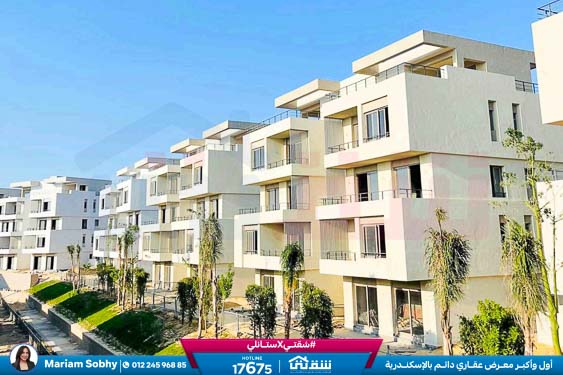 WhatsApp Image 2024-12-06 at 3.47.21 AM (1)