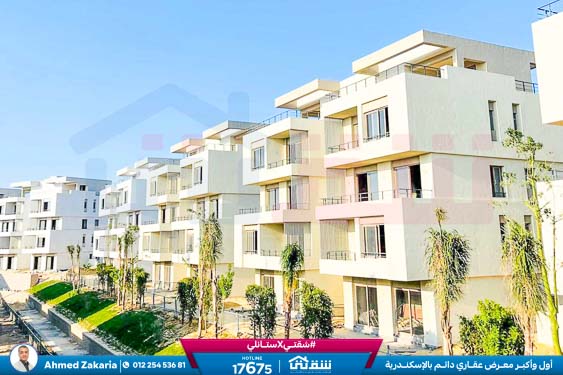 WhatsApp Image 2024-12-06 at 3.47.21 AM (1)