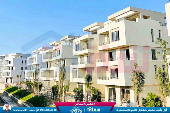 WhatsApp Image 2024-12-06 at 3.47.21 AM (1)