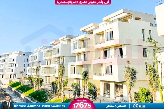 WhatsApp Image 2024-12-06 at 3.47.21 AM (1)