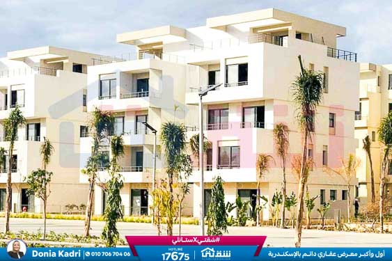 WhatsApp Image 2024-12-06 at 3.47.21 AM