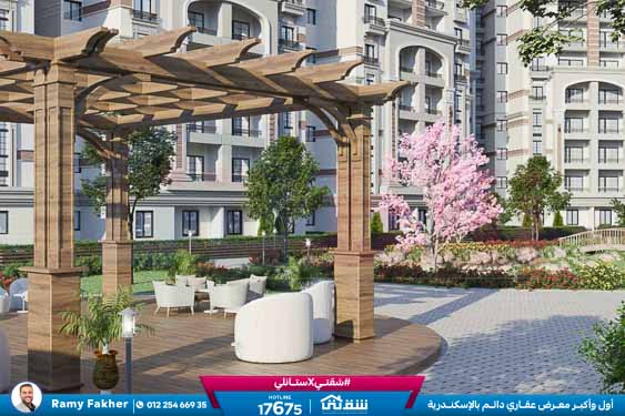 WhatsApp Image 2024-12-09 at 6.50.13 PM (1)