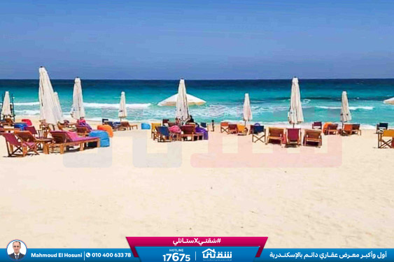 WhatsApp Image 2024-12-21 at 13.34.25_2c7e30e4