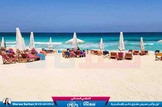 WhatsApp Image 2024-12-21 at 13.34.25_2c7e30e4