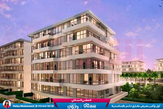 WhatsApp Image 2025-01-13 at 11.58.43_95e3115a