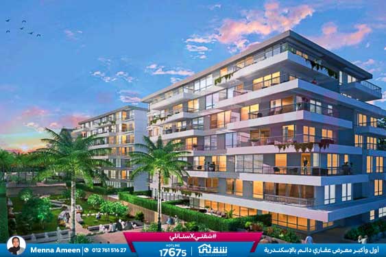 WhatsApp Image 2025-01-13 at 11.58.44_2dc8b9de